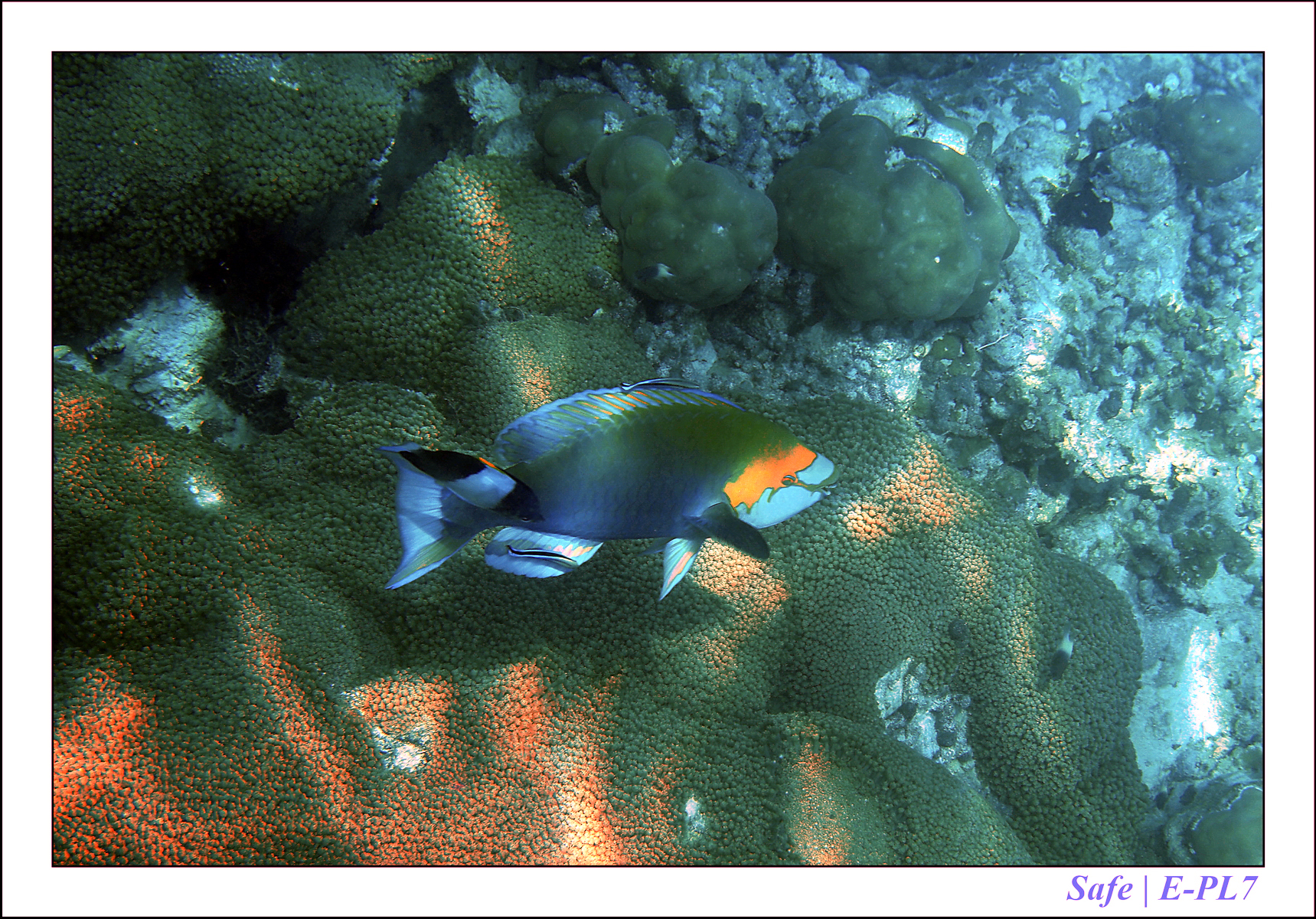2019 - 07 - Snorkeling maldives - 37